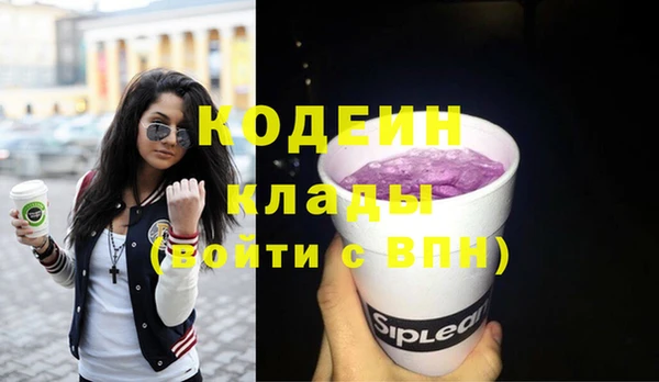 первитин Няндома