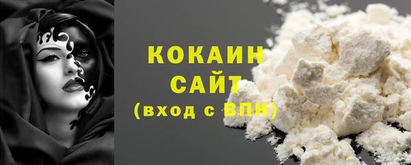 гидра Абаза