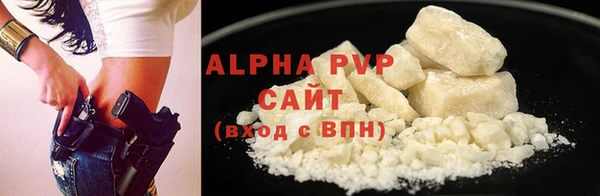 гидра Абаза