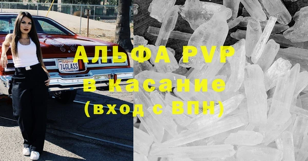 гидра Абаза