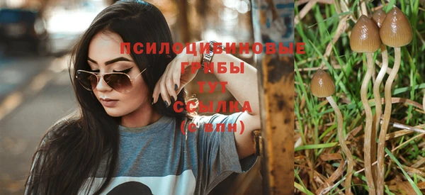 ешки Абдулино