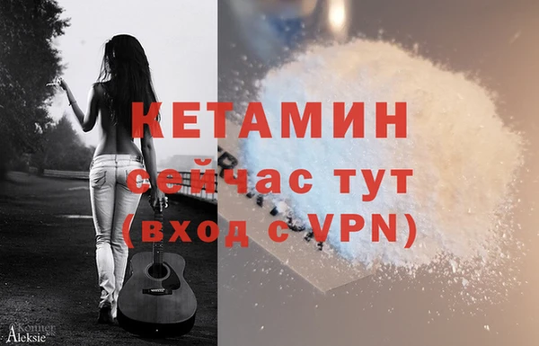 гидра Абаза